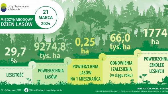 Infografika - Międzynarodowy Dzień Lasów - 21 marca
